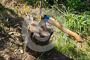 Axe cut in the chopping block on green grass background. Lumber jacks wood cutting work tool in wooden stump. Close up