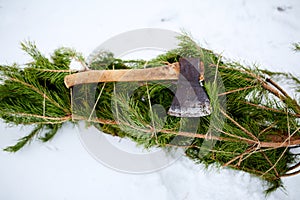 Axe on cut down spruce or pine christmas tree branches on snowy ground. Deforestation ban. Irresponsible behavior