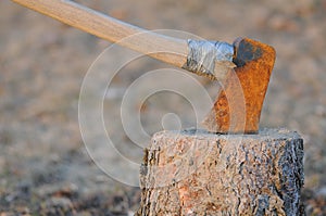 Axe embedded in tree stump photo