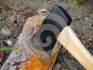 Axe in firewood