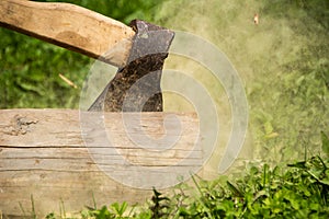 Axe and log