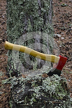 Axe stuck in log