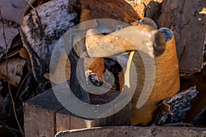 Axe stuck in a log in the yard about a woodpile on the street