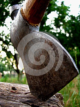 An axe stuck in a tree