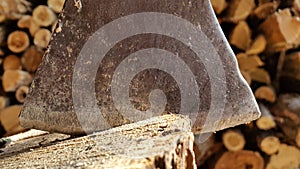 the axe stumps in the background on the heap of firewood