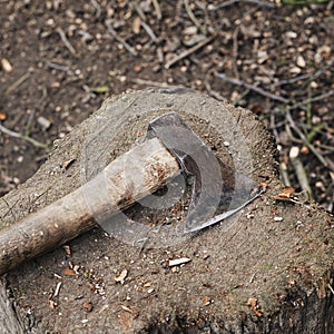 Axe on a tree stump