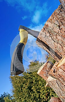 Axe and wood