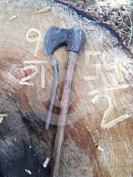 Axe on wooden stem