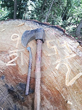 Axe on wooden stem