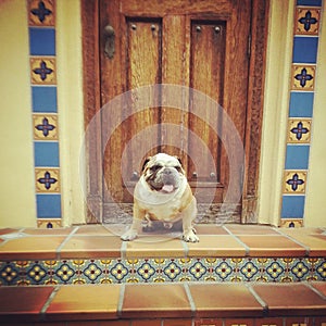 Axel in front of a door