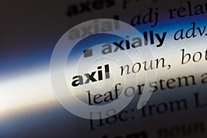 axil
