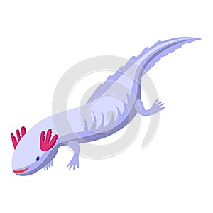 Axolotl amphibia icon, isometric style