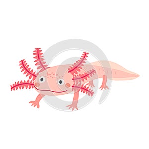 Axolotl mexican salamander cartoon character.