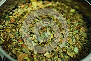 Ayahuasca Guayusa tea leaves from amazon rainforest, preparation brewing in a kettle, close-up