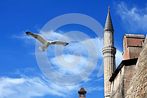 Ayasofia mosque photo