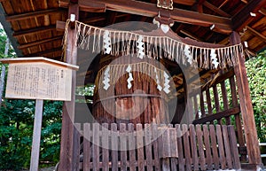 Ayasugi Myojin, the small shrine over the sacred tree. Shikichi-jinja Shrine. Kyoto. Japan