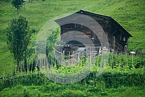 Ayder Plateau photo