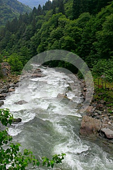 Ayder Plateau