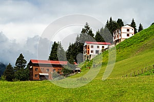 Ayder Plateau photo