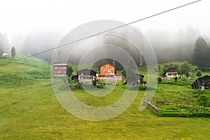 Ayder Plateau photo