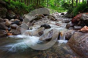 Ayder Stream