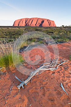 Ayers rock (Uluru)