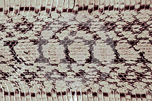 Ayers snake skin texture