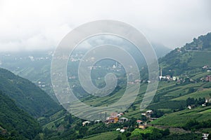 Aykut Town - Trabzon