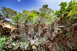 Ayn Athum Waterfall Oman