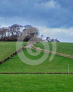 Ayrshire Field with winding roadway into trees and a dramamtic sky