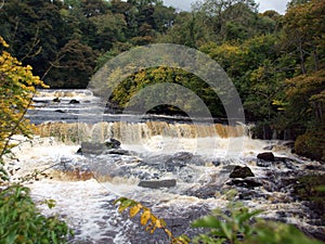 Aysgarth Falls - Waterfall