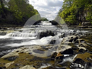 Aysgarth Falls - Wensleydale - Yorkshire Dales