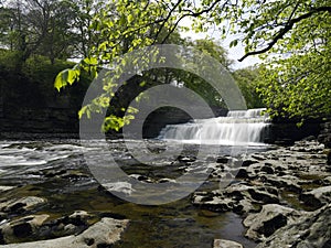 Aysgarth Falls - Wensleydale - Yorkshire Dales