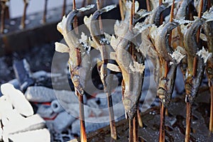 Ayu fish, Japanese grilled salt fish.