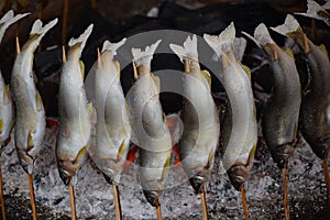 Grilled Japanese fish at street side shop