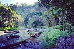 Ayung river, Ubud, Bali