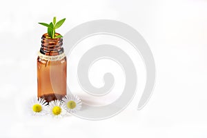 Ayurveda and alternative medicine, essential oil and herbal treatment spa care