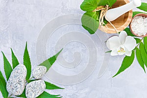 Ayurveda background. Spa and health care concept