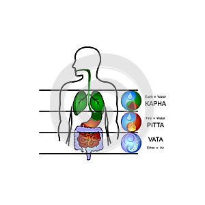 Ayurveda doshas: Vata, Pitta, Kapha and internal human organs. Flat vector icons.