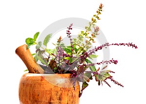 Ayurveda plants photo