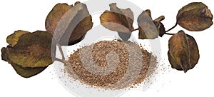 Ayurvedic arjun fruit