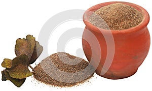 Ayurvedic arjun fruit