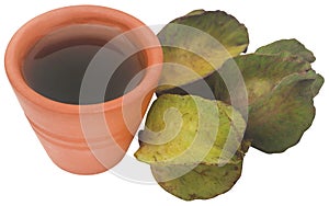 Ayurvedic arjun fruit with extract