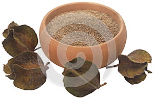 Ayurvedic arjun fruit with ground powder