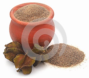 Ayurvedic arjun with ground powder