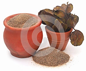 Ayurvedic arjun with ground powder