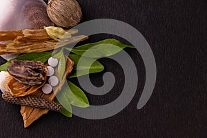 Ayurvedic drugs, spices, sea shell and green leaves on black background. Ayurvedic and alternative medicine concept photo