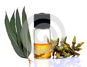 Ayurvedico olio 