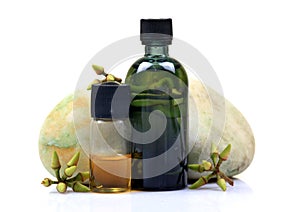 Ayurvedic eucalyptus oil bottles