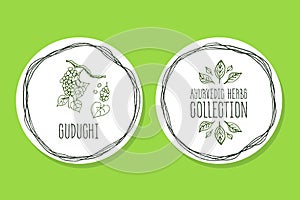 Ayurvedic Herb - Product Label with Guduchi